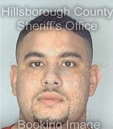 Simmons Justo - Hillsborough County, FL 