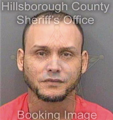 Lopezgaray Josian - Hillsborough County, FL 