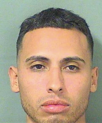 Hernandez Rene - PalmBeach County, FL 