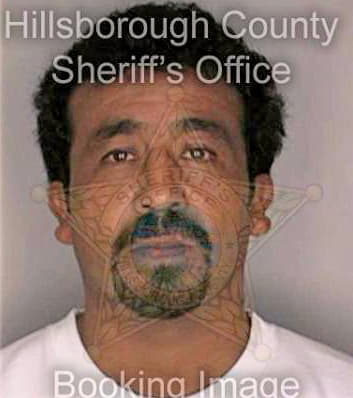 Gonzalez Franciso - Hillsborough County, FL 