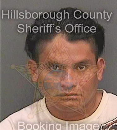 Sanchez Manrique - Hillsborough County, FL 