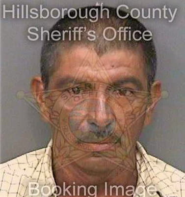 Ortizrubino Emilio - Hillsborough County, FL 