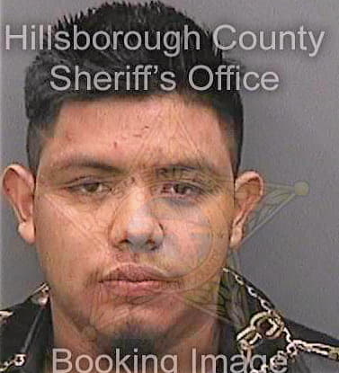 Carpinterohernandez Lisandro - Hillsborough County, FL 