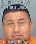 Amado Rangel - Pinellas County, FL 