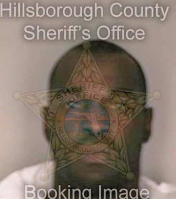 Mckensie Eddie - Hillsborough County, FL 