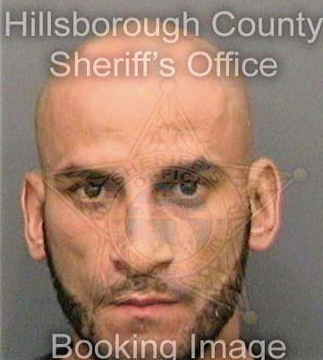 Lopez Wilfredo - Hillsborough County, FL 