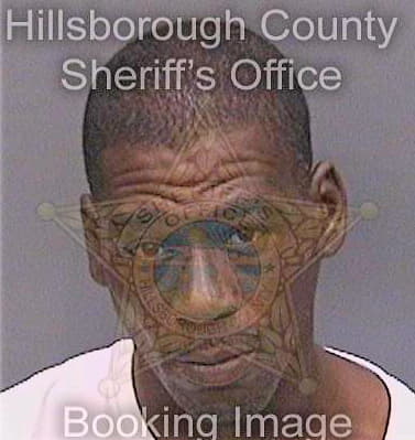 Patterson Anthony - Hillsborough County, FL 