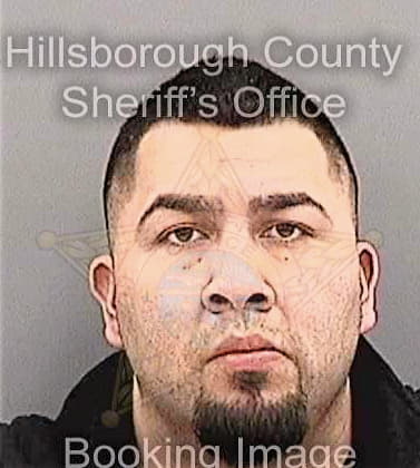 Lucas Feliciano - Hillsborough County, FL 