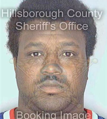 Pringley Desmond - Hillsborough County, FL 