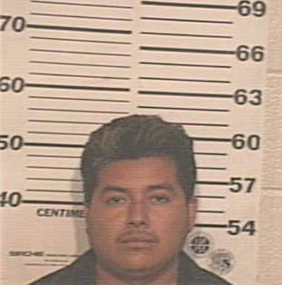 Hernandez Alejandro - Hidalgo County, TX 