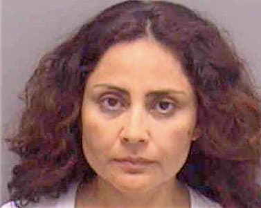 Garcia-Bergin Teresa - Lee County, FL 