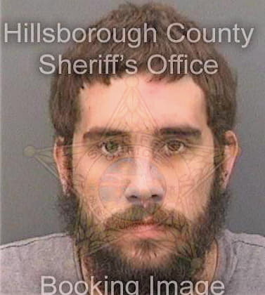 Mccarthy Michael - Hillsborough County, FL 