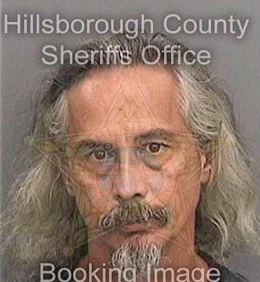 Noland Van - Hillsborough County, FL 