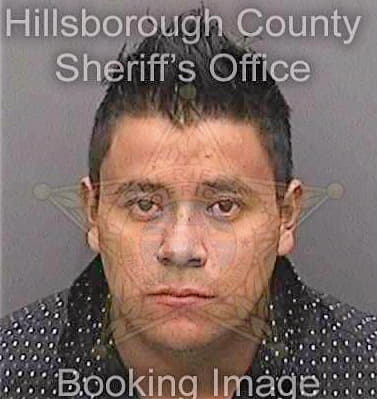 Delacruzcornejo Francisco - Hillsborough County, FL 