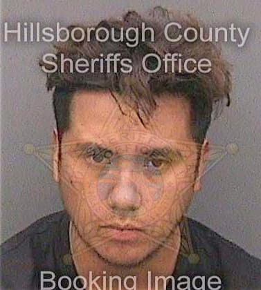 Torres-Munoz Ivan - Hillsborough County, FL 