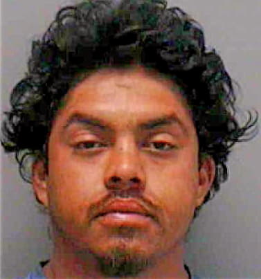Vega Jorge - Lee County, FL 