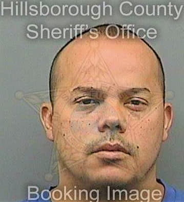 Jimenezramirez David - Hillsborough County, FL 