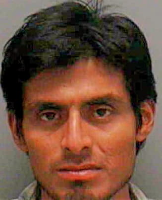 Gayosso Cesario - Lee County, FL 
