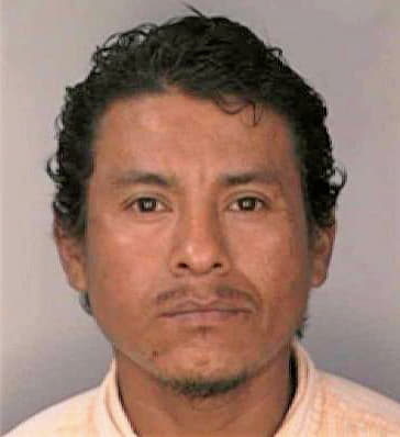 Mendez Daniel - Hillsborough County, FL 