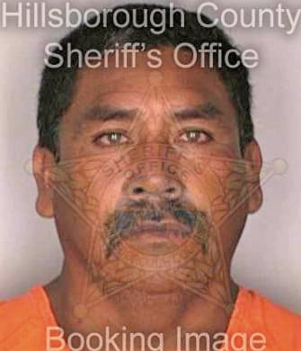 Mendozamoreno Jamie - Hillsborough County, FL 