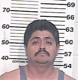 Hernandez Juan - Hidalgo County, TX 