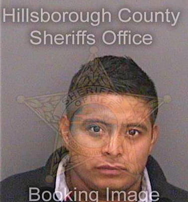 Lopez Misael - Hillsborough County, FL 