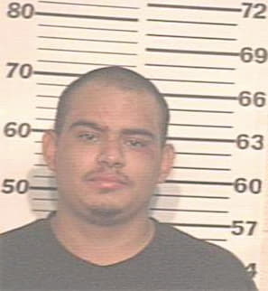 Trevino Santiago - Hidalgo County, TX 