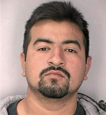 Medina Alvaro - Hillsborough County, FL 