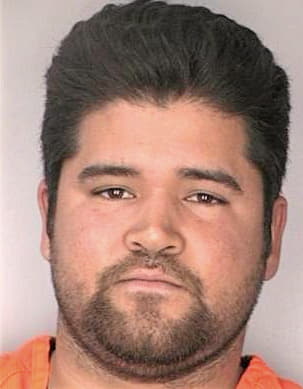 Pineda Wladimir - Hillsborough County, FL 