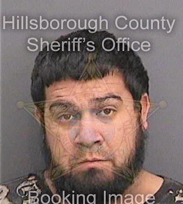 Lopezviera Noel - Hillsborough County, FL 