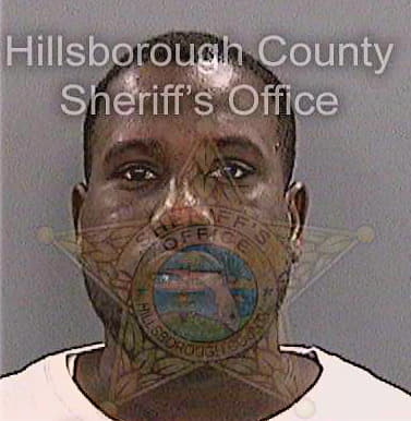 Laurent Gasner - Hillsborough County, FL 