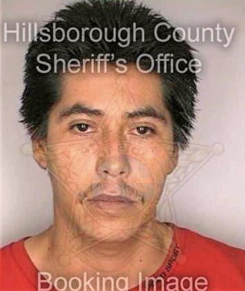 Mendezvillegas Joel - Hillsborough County, FL 