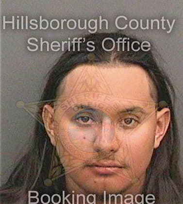 Trejo Sergio - Hillsborough County, FL 