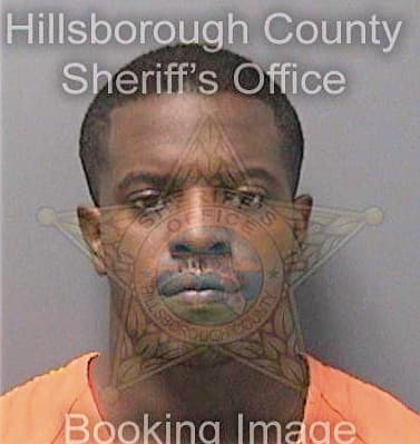 Mullins Michael - Hillsborough County, FL 