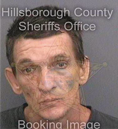 Bowman Andrew - Hillsborough County, FL 