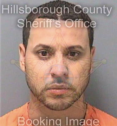 Cotto Sean - Hillsborough County, FL 