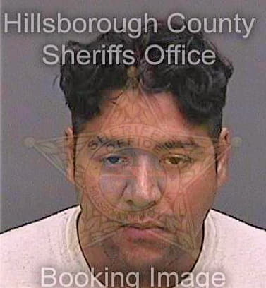 Bautistaortiz Alejandro - Hillsborough County, FL 