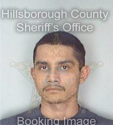 Solorsano David - Hillsborough County, FL 