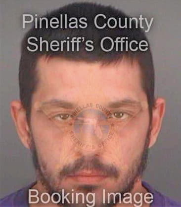 Stevenson James - Pinellas County, FL 