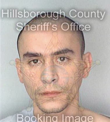 Ortiz Robert - Hillsborough County, FL 