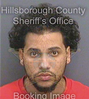 Blum David - Hillsborough County, FL 