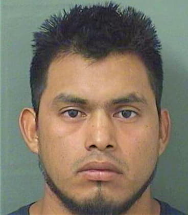 Miguel Mateo - PalmBeach County, FL 