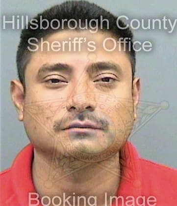 Lopezlucas Oscar - Hillsborough County, FL 