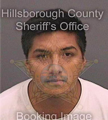 Ortizmendoza Jose - Hillsborough County, FL 