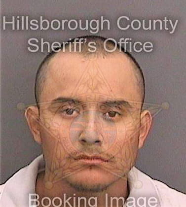 Mejiascade Hector - Hillsborough County, FL 
