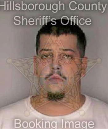 Sigmon Seth - Hillsborough County, FL 