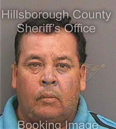 Torres Silvestre - Hillsborough County, FL 