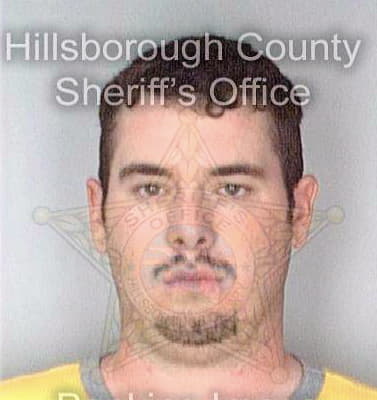 Simpson Dustin - Hillsborough County, FL 