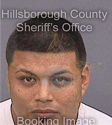 Bravo Damaso - Hillsborough County, FL 