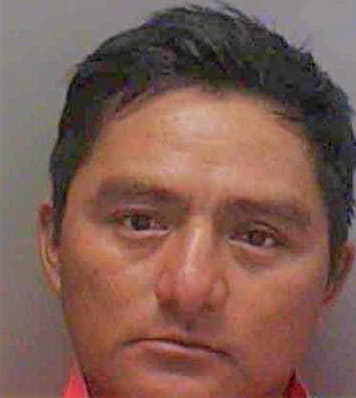 Martinez Evaristo - Lee County, FL 